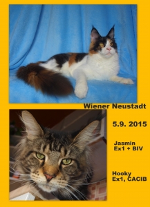 MVK Wiener Neustadt 